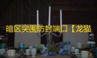暗区突围防封端口【龙猫私端】辅助