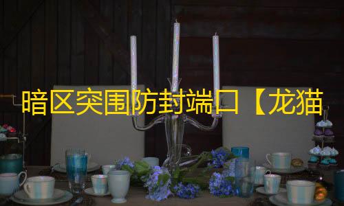 暗区突围防封端口【龙猫私端】辅助