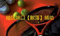 暗区端口【散落】辅助